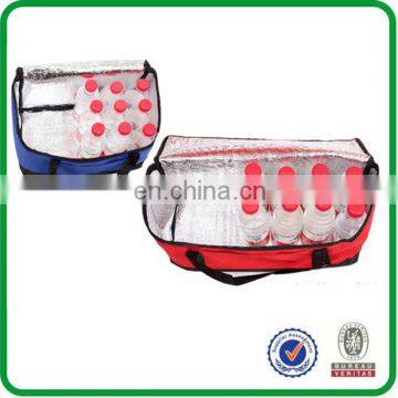 Custom disposable cooler bags for wholesale