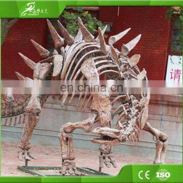 KAWAH Exibithion Life Size Stegosaurus Dinosaurs Fossils For Sale photo-3