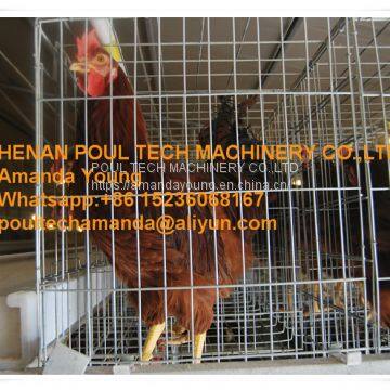 Zambia Chicken Supplier Chicken Shed Hot Galvanized Cage & A Type Battery Breeder Chicken Cage & Breeding Layer Coop for Poultry Farm