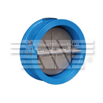 Dual Plate Check Valve