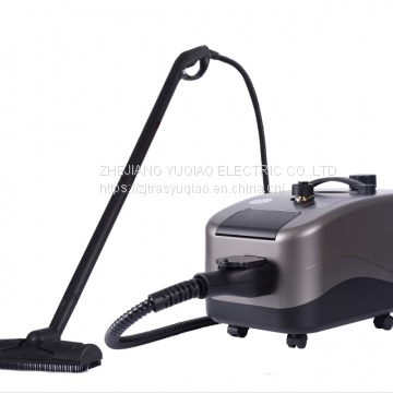 2020 new design  4 Bar high pressure multi-function steam cleaner car wash cleaner for killing bacteria