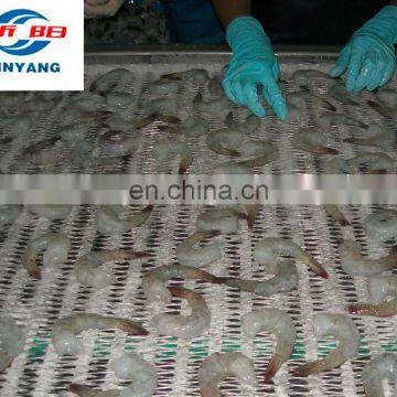 IQF Freezer Shrimp Belt Freezeer Quick Freezing Machine photo-2