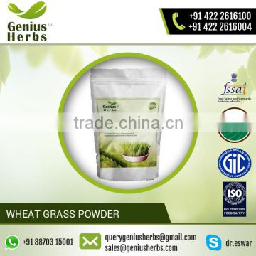 Premium Quality Optimum Grade Wheat Grass Powder for Buyers