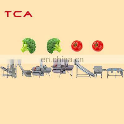 PLC Fully automatic 100-2000KG vegetable fruit washing drying production line