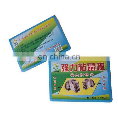 Customized Size Efficient Gel Trap Disposable Sticky Mouse Trap for Restaurant