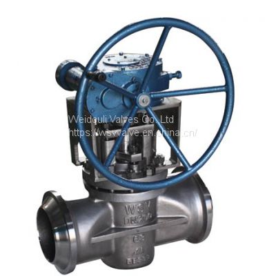 Duplex Plug Valves