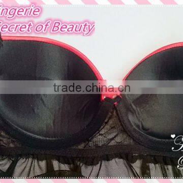 Sexy Women Lingerie, Bra Factory photo-5