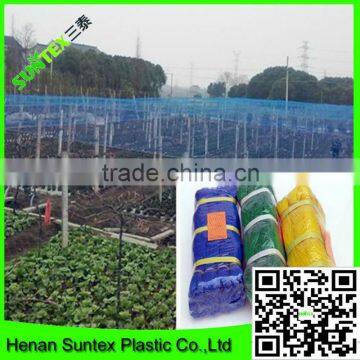 100% virgin HDPE anti bird protection net/black anti bird net/catch bird net