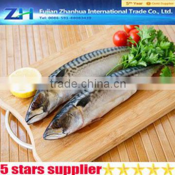 Low price fishing lures mackerel, wholesale fresh mackerel fish, fish maw mackerel