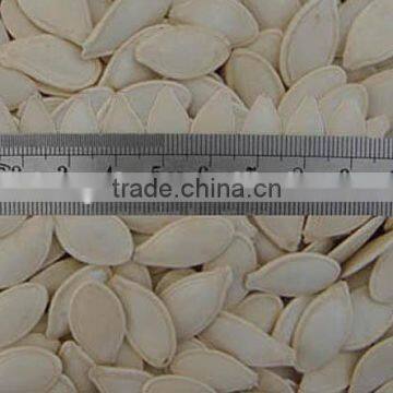 Yellow Pumpkin Seeds in Shell photo-3