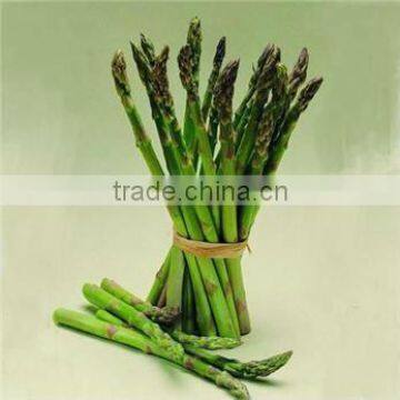 2013 Frozen Green Asparagus