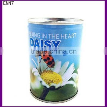 Manufactory Mini Garden Can Flower Plant In Wholesale