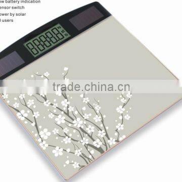 Hot Sale Solar Powered Weighing Scale for Outdoor