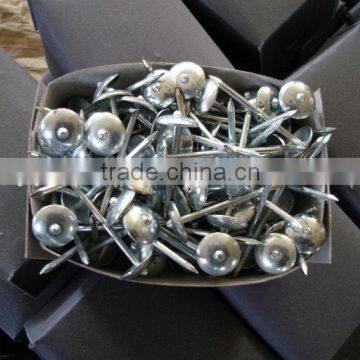 steel coil roofing nails ,steel nails factory