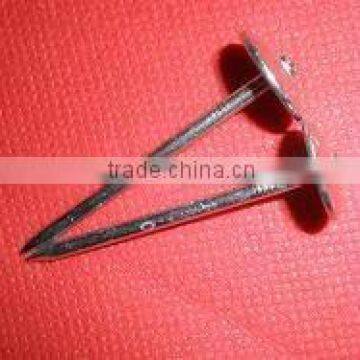 22mm umbrella head galvanized roofing nails