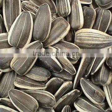 Cheap Sunflower Seeds for Animal feed