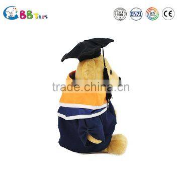 2015 Best Selling Cheap Price Stuffed Animals The Graduation Teddy Bear photo-5