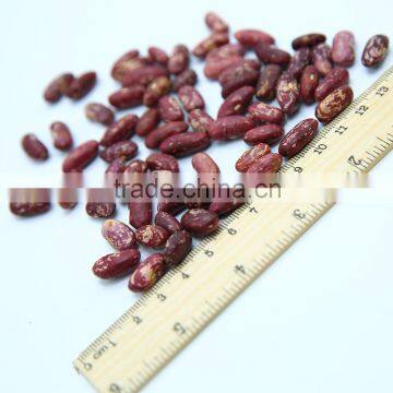 Red Speckled Kidney Beans photo-6