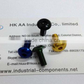 torx head small aluminum color screw