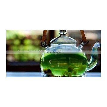 GMP Certified Organic Green Tea Manufacturer