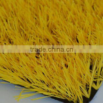 colorful grass natural grass for garden decorative grass