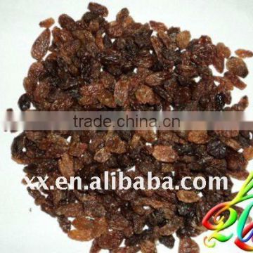 Chinese Organic raisin