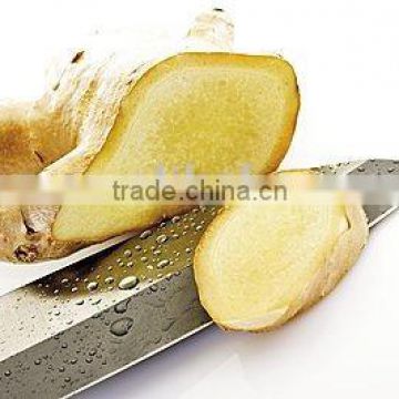 buy new crop fresh young ginger from China