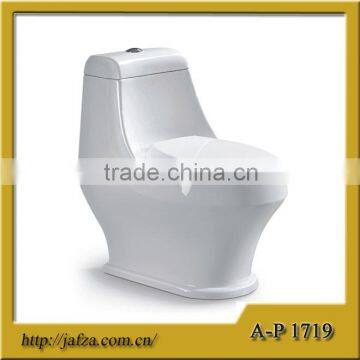 1719 washdown toilet