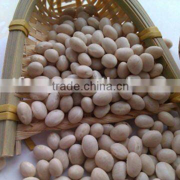 Organic Beans (new crop, heilongjiang origin, hps quality)