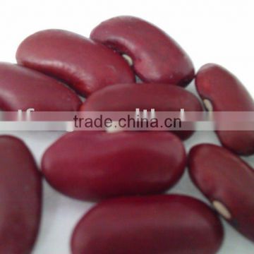 2010 Crop Red Kidney Bean( British type, heilongjiang origin.hps)