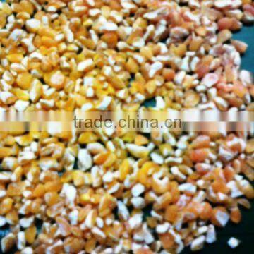 Yellow Corn grit