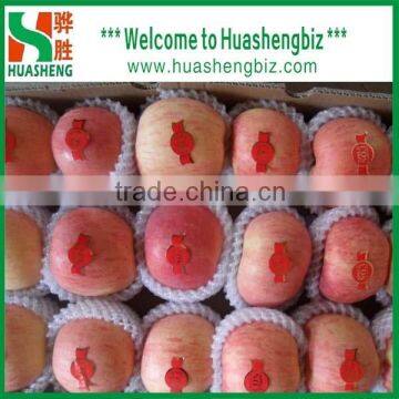 Fresh Fuji Apple Selling in China (Varieties: Fuji, Huaniu, Gala, Golden,qinguan, Red Star) photo-5