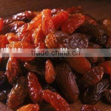 Xinjiang Raisins Sultana Raisins Golden Raisin photo-2