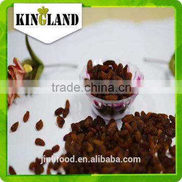 Common Cultivation Type Hot Sale AAA Sultana Raisin Price