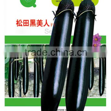 Highly recommended Hybrid black long eggplant seeds for growing-ST Black Beauty