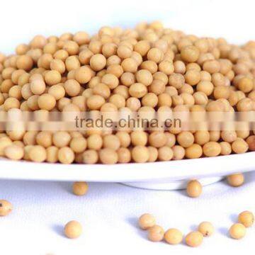 Chinese good quality and high protein Soybeans