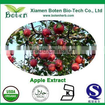 Apple Extract Procyanidin B2 CAS:29106-49-8