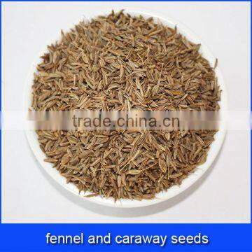 fennel and caraway seeds