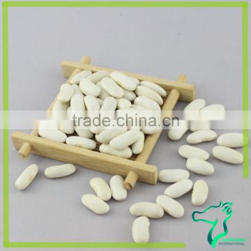 Chinese Fresh Dried Long White Kidney Beans Low Price