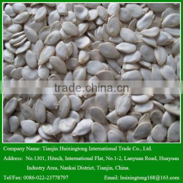 Wholesale Roasted and Salted Pumpkin Seeds with Great Quality