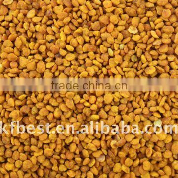 food grade organic bulk bee pollen