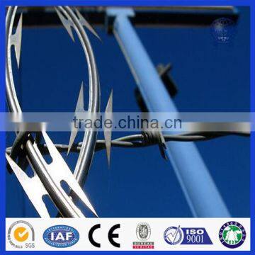 Anping Factory Good Quality Hot Dipped Galvanized Or Stainless Steel Anti-Climb Razor Barbed Wire photo-6
