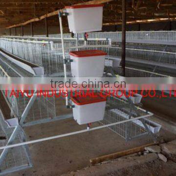 TAIYU Chicken Cages for Kenya Hen Farm (Local Agent, Whole Year Stock, Visit Customers Every Year)