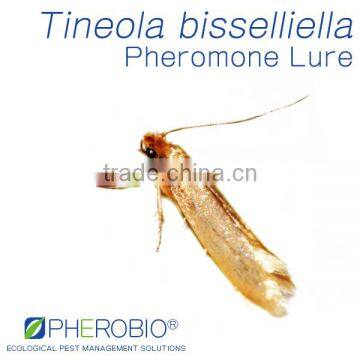 Pheromone Lure for Tineola bisselliella , Sex Pheromone Bait & Pheromone Trap for Tineola bisselliella