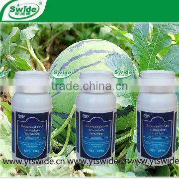 seaweed root stimulate fertilizer