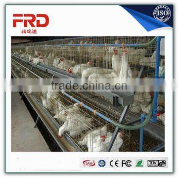 New Design Best Sale Egg Chicken Layer Cage Design For Sale