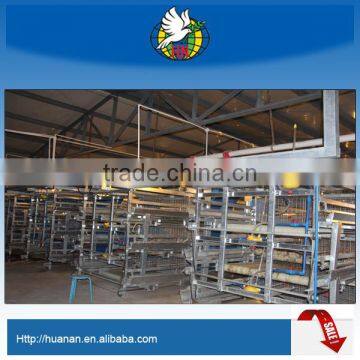 Layer Broiler Pullet Chicken Automatic Raising Equipment