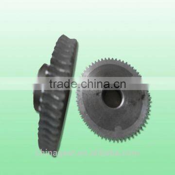 Archimedes Worm photo-3