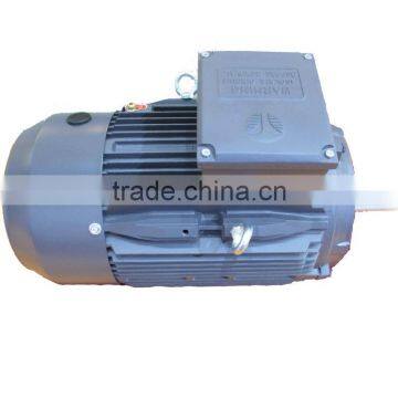 IE3 Standard High Efficiency Cast Iron Three Phase Electric Motor T3C 160L 2