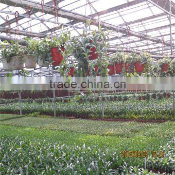 Customized Cheap Commercial Horticultural Green House photo-6